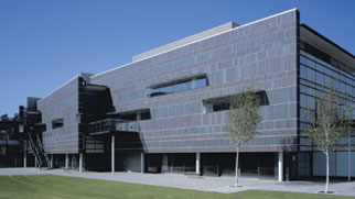 slate cladding